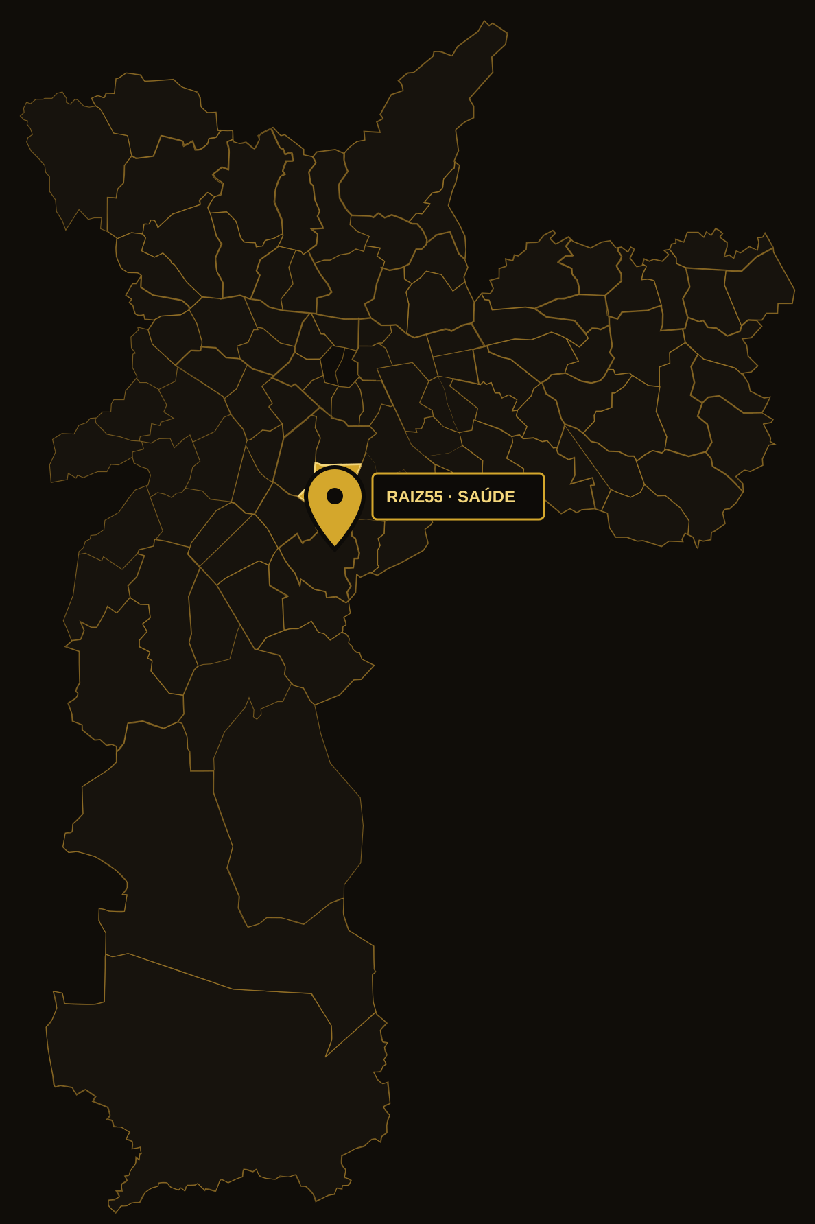 Mapa dos distritos da cidade de São Paulo com a Raiz55 marcada no bairro da Saúde
